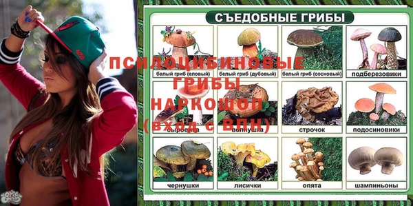 дмт Каменск-Шахтинский