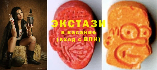 МДПВ Каменка