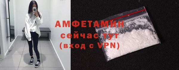 МДПВ Каменка
