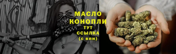 МДПВ Каменка