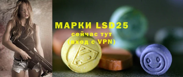 МДПВ Каменка