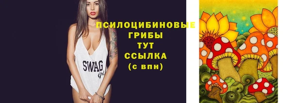 дмт Каменск-Шахтинский