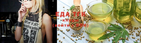 МДПВ Каменка