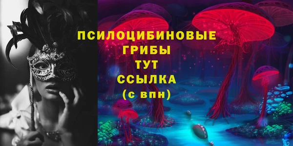 дмт Каменск-Шахтинский