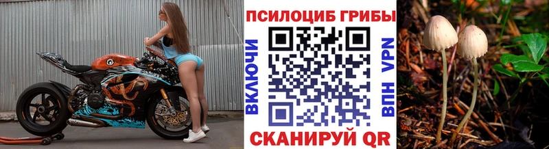 Псилоцибиновые грибы Psilocybine cubensis  Купить закладки  Нерчинск 